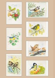 Postkarten Kleine Gartenfreunde - Abbildung 1