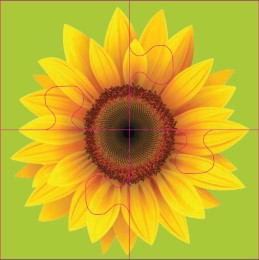 Das 'Gelingt immer'-Puzzle: Blumen - Abbildung 1