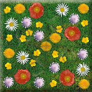 Das 'Gelingt-immer'-Puzzle Wiesenblumen. Das Puzzle-Spiel für Senioren mit Demenz - Abbildung 2
