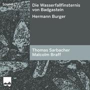 Die Wasserfallfinsternis von Badgastein (Sound)))Lit) - Cover