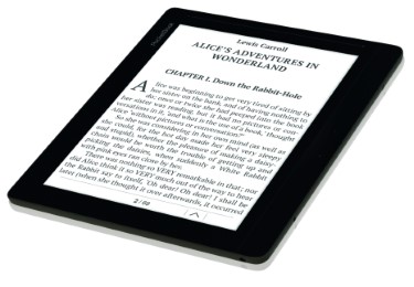 PocketBook InkPad (dunkelbraun)