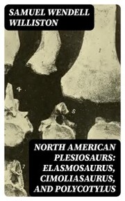 North American Plesiosaurs: Elasmosaurus, Cimoliasaurus, and Polycotylus