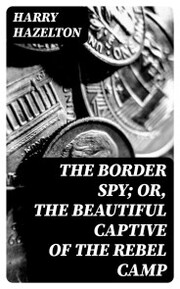 The Border Spy; or, The Beautiful Captive of the Rebel Camp - Cover