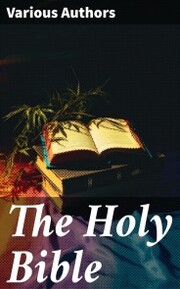 The Holy Bible - Cover