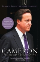 Cameron: Practically a Conservative