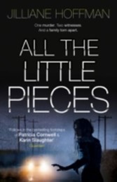 All the Little Pieces - Cover
