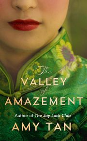 The Valley of Amazement - Cover