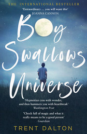 Boy Swallows Universe - Cover