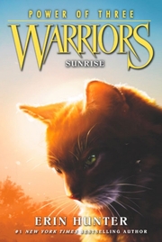 Warriors - Sunrise