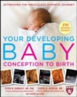 Your Developing Baby, Conception to Birth