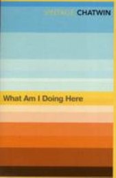 What Am I Doing Here - Cover