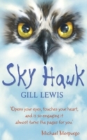 Sky Hawk - Cover