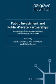 Public Investment and Public-Private Partnerships