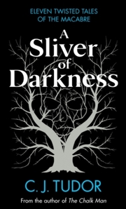 A Sliver of Darkness - Cover