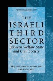 The Israeli Third Sector - Cover