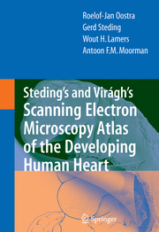 Viragh's and Steding's Scanning Electron Microscopy Atlas of the Developing Human Heart
