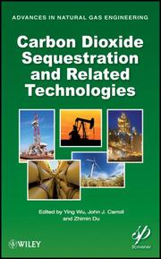 Carbon Dioxide Sequestration and Other Advances in Natural Gas Engineering
