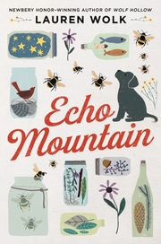 Echo Mountain - Cover