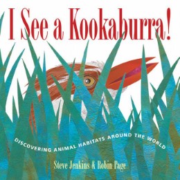 I See a Kookaburra!