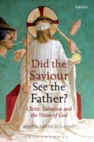 Did the Saviour See the Father?