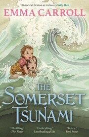 The Somerset Tsunami - Cover