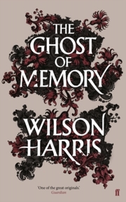 The Ghost of Memory