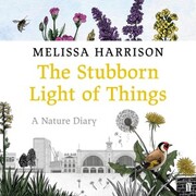The Stubborn Light of Things - Cover