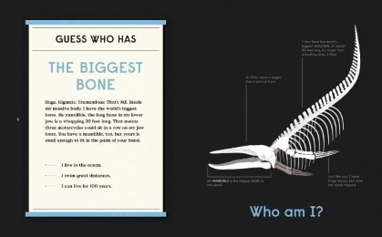 Book of Bones - Abbildung 2