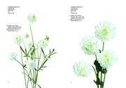 Flower Colour Guide - Abbildung 2