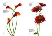Flower Colour Guide - Abbildung 3