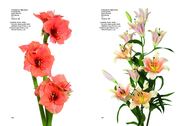 Flower Colour Guide - Abbildung 4
