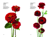 Flower Colour Guide - Abbildung 5