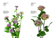 Flower Colour Guide - Abbildung 6