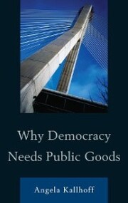 Why Democracy Needs Public Goods