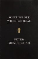 What We See When We Read
