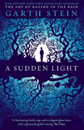 A Sudden Light - Cover