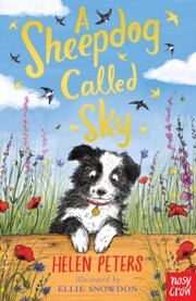 A Sheepdog Called Sky - Cover