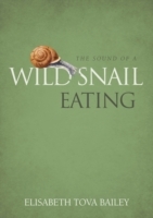 Sound of a Wild Snail Eating