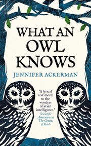 What an Owl Knows - Cover