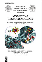 Molecular Geomicrobiology - Cover