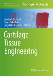 Cartilage Tissue Engineering