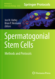 Spermatogonial Stem Cells