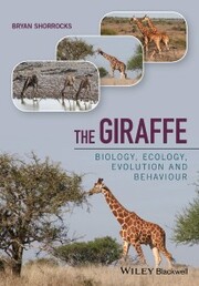 The Giraffe - Cover