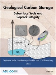 Geological Carbon Storage - Cover