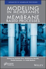 Modeling in Membranes and Membrane-Based Processes - Cover