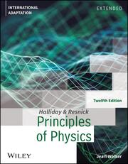 Principles of Physics: Extended, International Adaptation - Cover