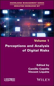 Perceptions and Analysis of Digital Risks - Cover