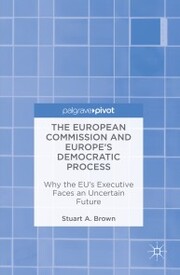The European Commission and Europe's Democratic Process