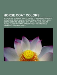 Horse coat colors
