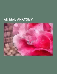 Animal anatomy